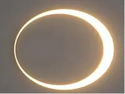 Iron & pc - SL-M80 Large